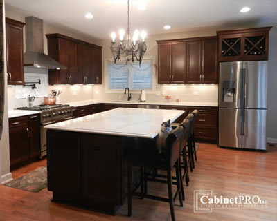 Kitchen Remodeling in Park Ridge by Cabinet Pros